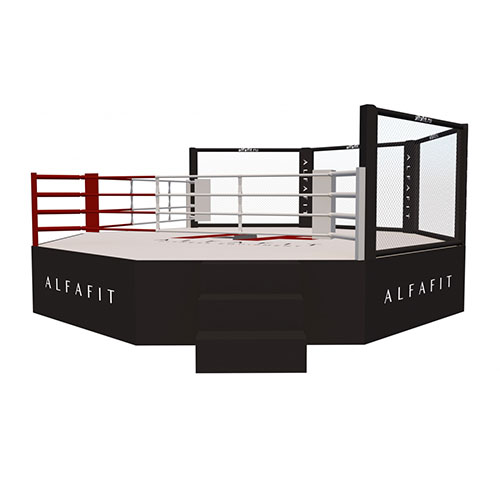 Октагон-трансформер AlfaFit на помосте высотой 1 м