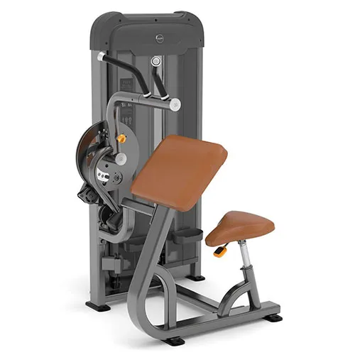 Бицепс/Трицепс Anyfit PS03-66