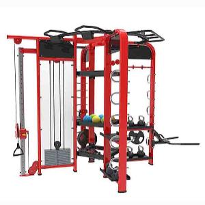 Купить Многофункциональный комплекс Pangolin Fitness SYNERGY 360XS станция для функционального кругового тренинга в Москве