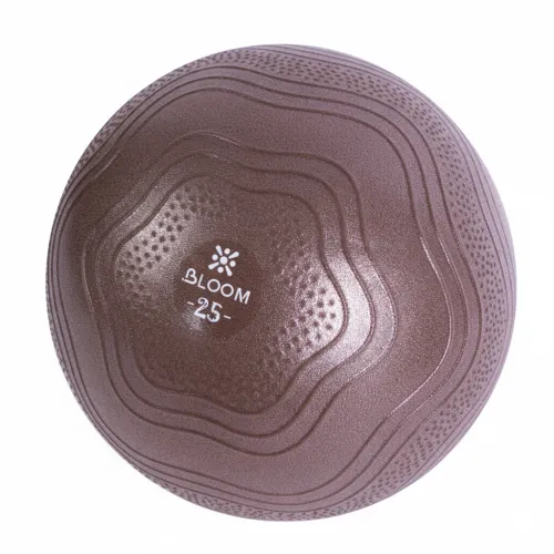 Мяч для йоги Bloom LB7001/25/BN 25 см коричневый