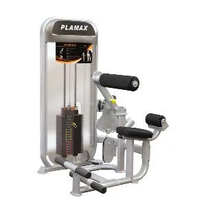 Пресс / разгибание спины Aerofit Impulse PL9024