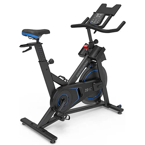 Сайкл Horizon 7.0IC-22