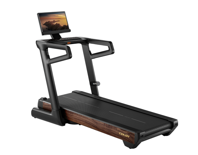  Домашняя беговая дорожка Xenjoy XT5