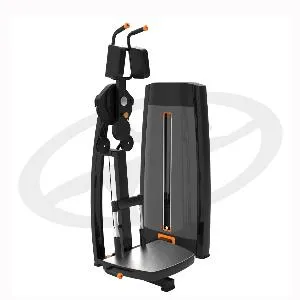 Торс-машина (наклоны в стороны) Oxide Fitness F021