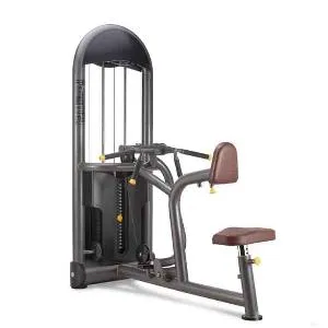 Рычажная гребная тяга Oxide Fitness C010