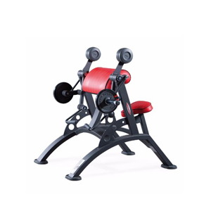 Купить Нагружаемый дисками тренажер Panatta Freeweight HP 1HP551 в Москве