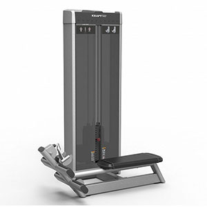 Купить Грузоблочный тренажер на верхнюю часть тела Kraft Fitness Нижняя тяга KFALR в Москве