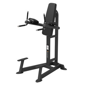 Купить Пресс / Брусья Spirit Fitness SP-4215 Пресс/брусья в Москве