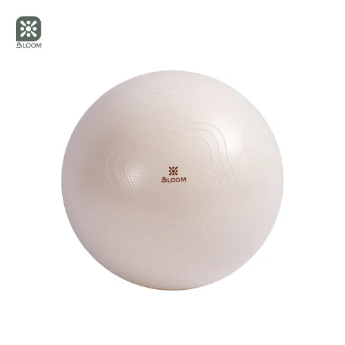 Мяч для йоги Bloom LB7051/65/WH 65 см белый