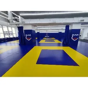 Протектор проклеенный Targex от 250мм до 500мм