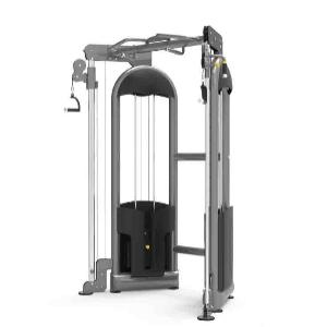 Купить DAP Oxide Fitness С030 многофункциональная тренировочная станция в Москве