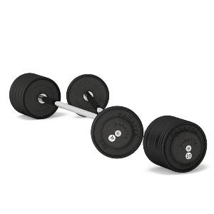 Купить Panatta 1PBB20 Штанга 20 кг  в Москве