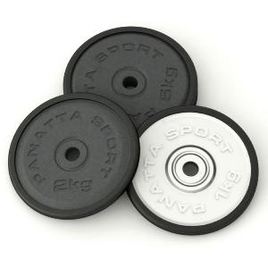 Panatta 1DN2.5 Диск 2,5 кг. 