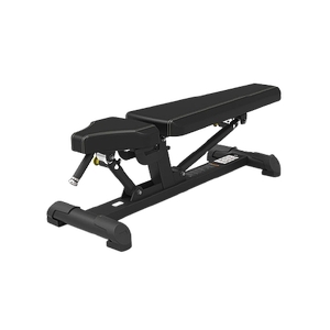 Купить Силовой тренажер Spirit Fitness SP-4204 Регулируемая скамья в Москве