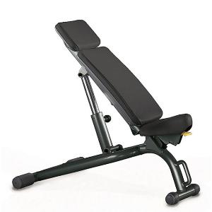Technogym Регулируемая скамья