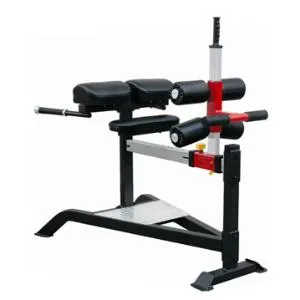 Римский стул Aerofit Impulse SL7013