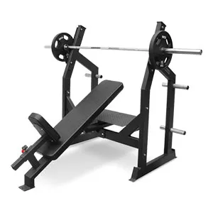 Скамья Bronze Gym AL-305