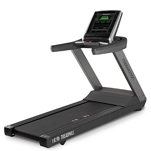 Купить Беговая дорожка Freemotion Fitness T8.9b в Москве