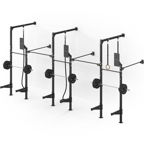 Настенная комбинированная рама Technogym Wall High–Low Rig Three Bay – Deep (три секции, высокая/низкая, глубокая)