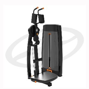 Купить Грузоблочный тренажер на верхнюю часть тела Oxide Fitness F021 торс-машина (наклоны в стороны) в Москве