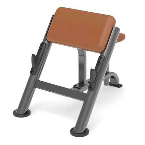 Скамья Скотта Anyfit PEB109