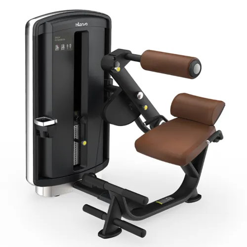 Разгибание спины INTENZA DL-05