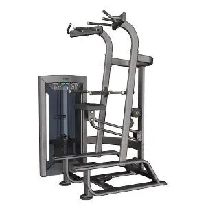 Подтягивание/отжимание с помощью Aerofit Impulse FE9720