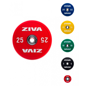 Купить Ziva Диск бамперный 2,5 кг в Москве