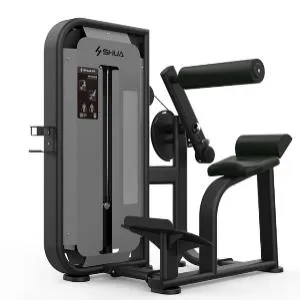 Пресс / разгибание спины SHUA Back Extension SH-G6817