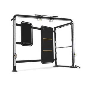 Купить Многофункциональный комплекс Matrix Fitness CONNEXUS PERIMETER (GFTWM ALL ACCS) в Москве
