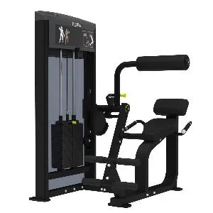 Разгибание спины Aerofit Impulse IF9332