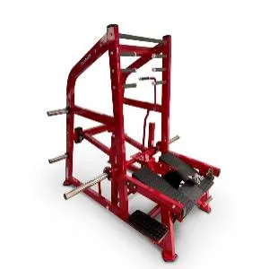 Приседания с поясом Realleader LD-2004 (HSPro-2004)