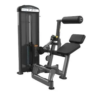 Разгибание спины True Fitness FUSE-1300