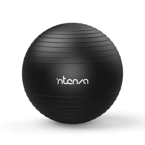 Балансировочный мяч INTENZA FA-08