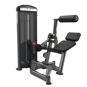 Купить Силовой тренажер True Fitness FUSE-1300 разгибание спины в Москве