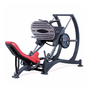 Купить Нагружаемый дисками тренажер Panatta Freeweight HP 1HP586 в Москве