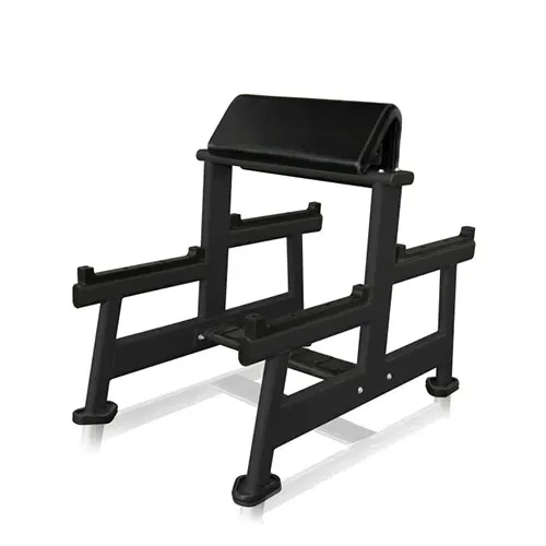 Скамья Скотта Ultra Gym UG-CL103