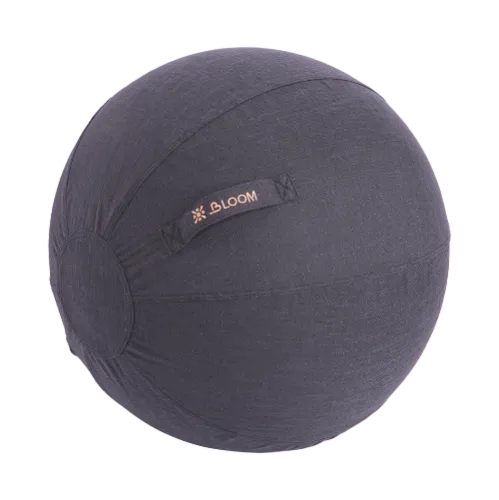 Чехол для мяча Bloom LB7129/BK 65см