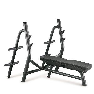 Technogym Horizontal Bench