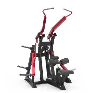 Тяга сверху Aerofit ECP301 (профессиональный)