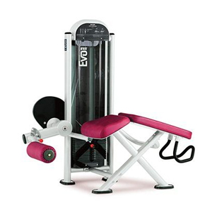 Купить Грузоблочный тренажер Panatta Fit Evo 1FE082 Сгибание ног в Москве