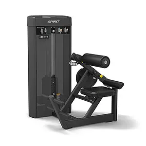 Разгибание спины Spirit Fitness SP-4310