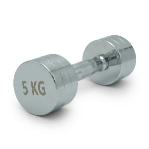 Купить Unix Fit PRO гантель круглая хромированная 5 кг / шт. в Москве