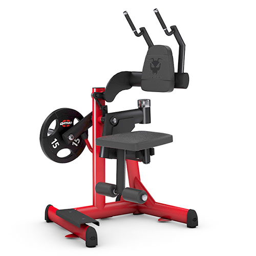 Тренажер для мышц брюшного пресса со скручиванием Gym80 4342 (50мм)