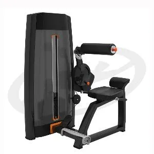 Бэк-машина (разгибание спины) Oxide Fitness F018