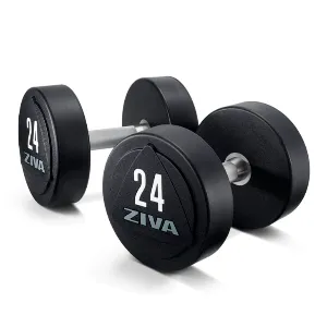 Гантели уретановые Ziva ZVO-DBPU-1655 38 кг (пара)