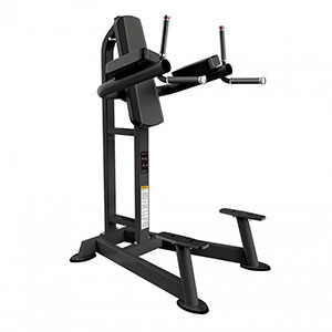 Купить Пресс / Брусья Kraft Fitness KFVKRY в Москве