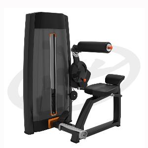 Купить Грузоблочный тренажер на верхнюю часть тела Oxide Fitness F018 бэк-машина (разгибание спины) в Москве