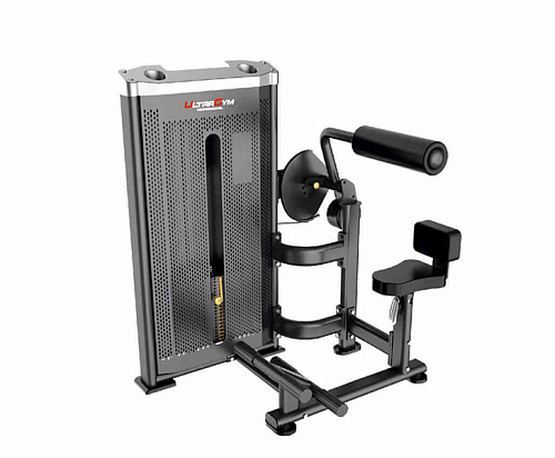 Купить Разгибание спины Ultra Gym UG-IN1917 в Москве