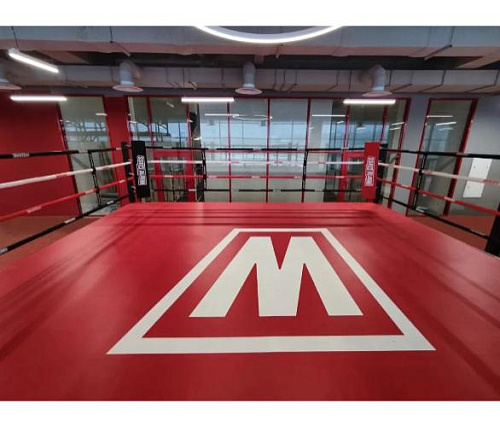 Ринг боксерский Targex на помосте 1 м 400х400х100